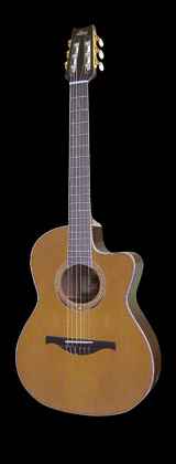 Autumn Lag Guitar - GLA312NCE.jpg