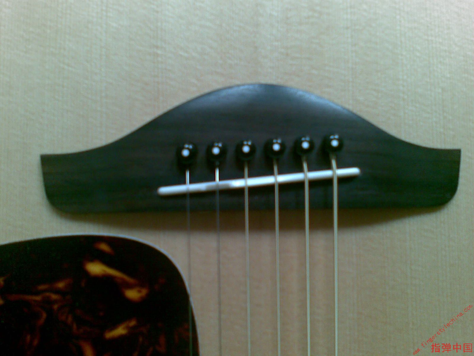 20100329_012.jpg