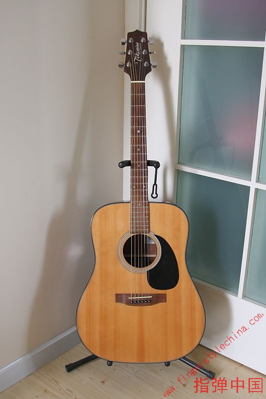 takamine1.JPG