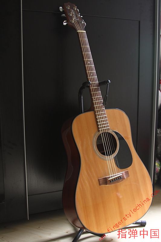 takamine3.JPG