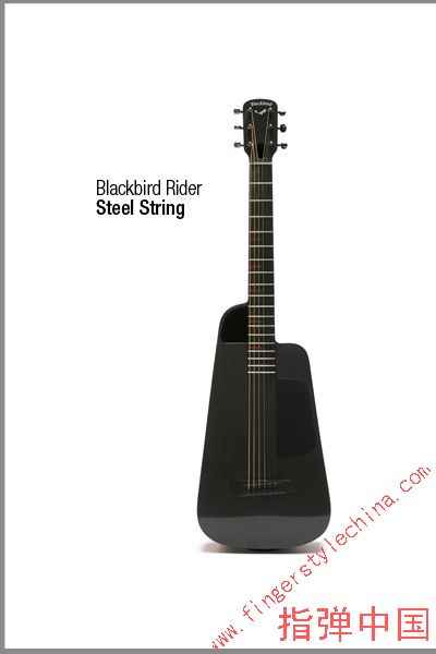 blackbirdguitar_steel_f1.jpg