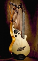 harpguitar1_300.jpg