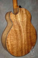 Peter Finger   Ryan Guitar.jpg