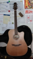 Takamine ETN10C