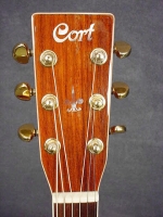 20U-8564_headstock-front.jpg