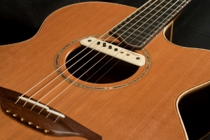 _3243_3243-Lowden_0_35c_SLE_Fingerstyle_Acoustic_Guitar___USED-132791297be-1e.jpg